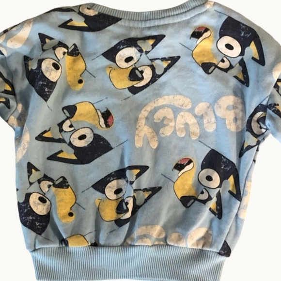2T Bluey sweater - Picture 1 of 4